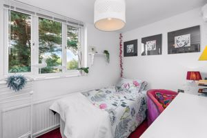 Photo 52- click for photo gallery